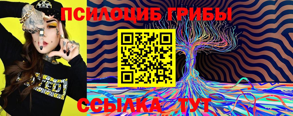 Псилоцибиновые грибы мицелий  Вход с VPN  Псилоцибиновые грибы мухоморы  закладка  Батайск 