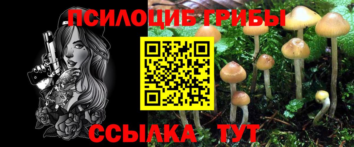 Галлюциногенные грибы прущие грибы Батайск